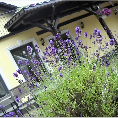 Lavender - Restauracja I Goscinne * Nowy Tomyśl