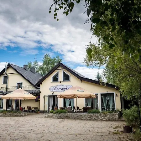 Lavender - Restauracja I Goscinne * Nowy Tomyśl
