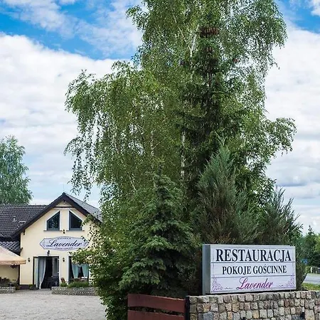 Lavender - Restauracja I Goscinne 宾馆