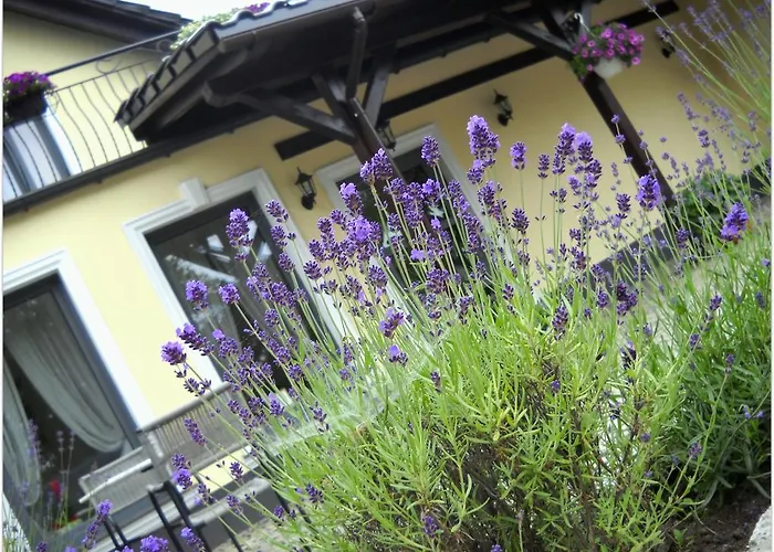 Lavender - Restauracja I Goscinne * Nowy Tomyśl