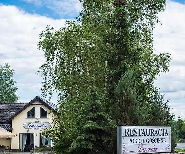 Lavender - Restauracja I Goscinne Inn
